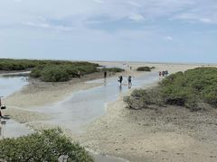 -北海金海湾红树林生态旅游区