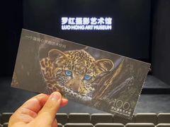 -罗红摄影艺术馆