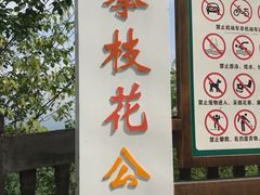 -攀枝花公园