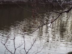 -大连植物园