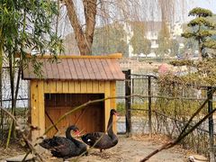 -丝绸小镇荻港古村