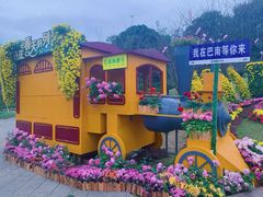 -南山植物园