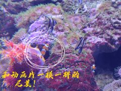 -成都浩海立方海洋公园