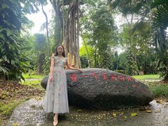 -瑞丽独树成林风景区