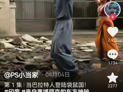 -约翰·菲茨杰拉德·肯尼迪国际机场