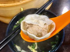 鲜肉小笼-大龙汤包