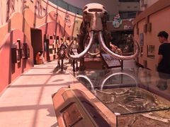 -陕西自然博物馆