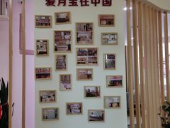 -爱月宝月嫂·育儿嫂(哈尔滨总店)