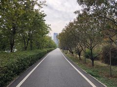 -广东花都湖国家湿地公园