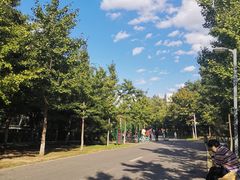 -长白岛森林公园