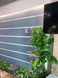 点击看大图 -东方美妍