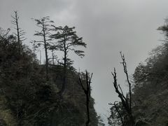-峨眉山风景名胜区