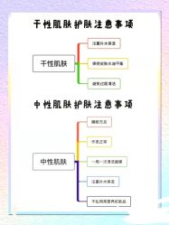 -凡碧诗毛孔清洁收细