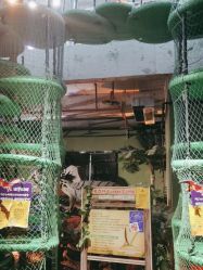 -恐龙探索乐园(磁器口店)