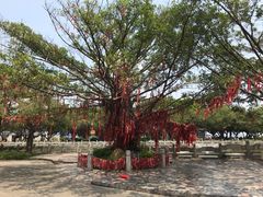 -南沙天后宫景区