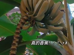 -北国之春国宴(乌兰察布店)