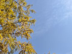 -云溪植物园