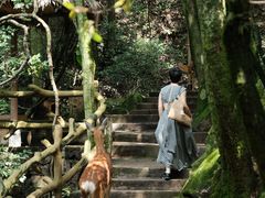 -昆明青龙峡风景区
