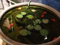 -米卢宠物公园(广华居店)