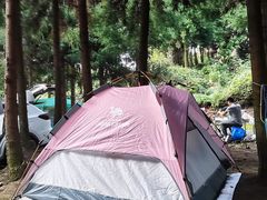 -重庆睡佛山森林公园