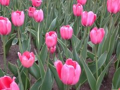 -长春公园(普阳街道)