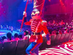 -珠海横琴长隆《卡卡虎奇遇记》