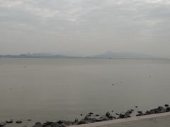 -深圳湾公园(南山区)