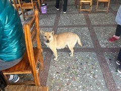 -路口村义和米粉店