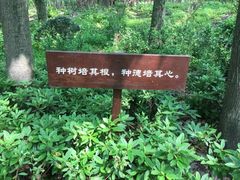 -法云安缦酒店