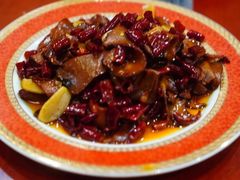 -菌之家·专业纯野生菌火锅·特色炒菌