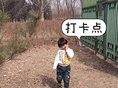 -永定河休闲森林公园