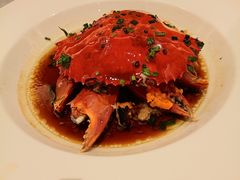 -喜来登由由大酒店九州膳坊中餐厅