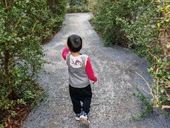 -大屏嶂森林公园