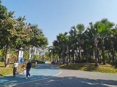 -宝安西湾红树林湿地公园