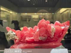 -中国地质博物馆