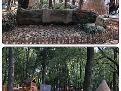 -东湖落雁景区