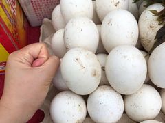 -姥家大锅台水库渔家