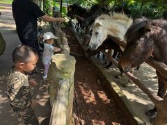 -海南热带野生动植物园