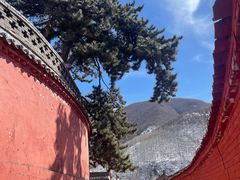 -五台山风景名胜区-罗睺寺