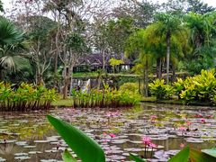 -中国科学院西双版纳热带植物园