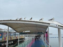 -海驴岛(荣成市)