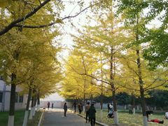 -辽宁大学(崇山校区)