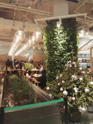点击看大图 店内环境-悦诗风吟innisfree