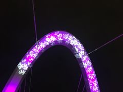 -南京眼步行桥