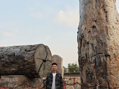 -北京凤凰岭