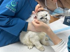 -联合动物医院(光谷诊疗中心)