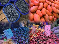 -五里多农博广场