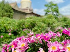-张掖大佛寺景区