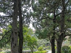 -上海瑞金洲际酒店