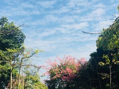 -华南师范大学(广州大学城校区)